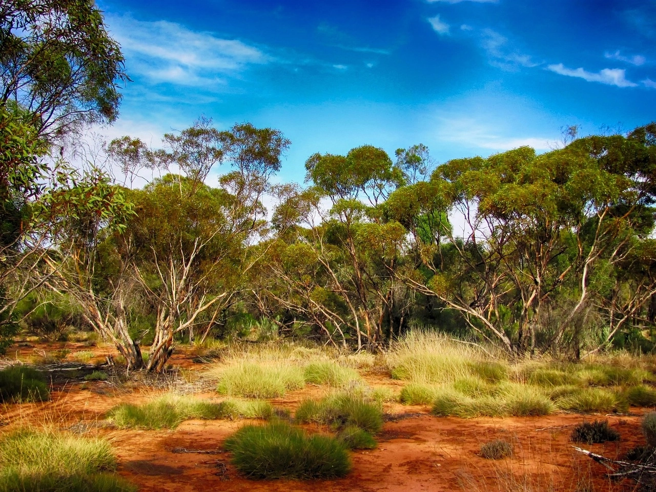 australie-paysage