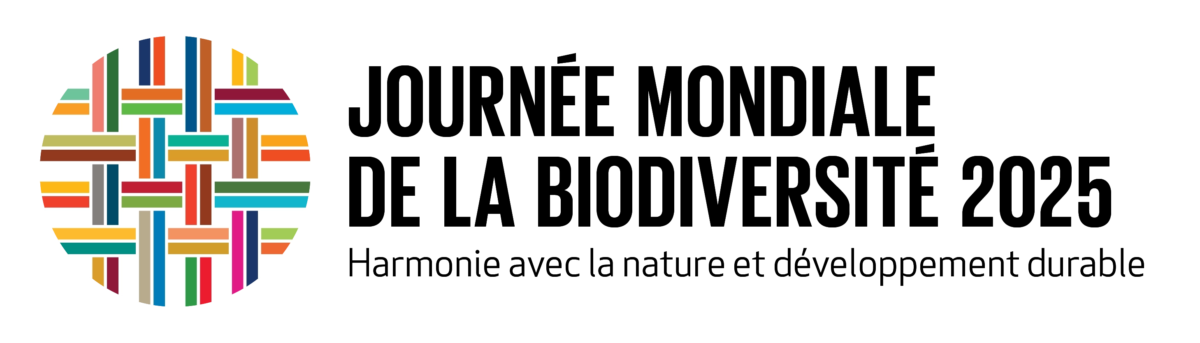 idb-2025-logo-rgb-fr