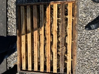 image7