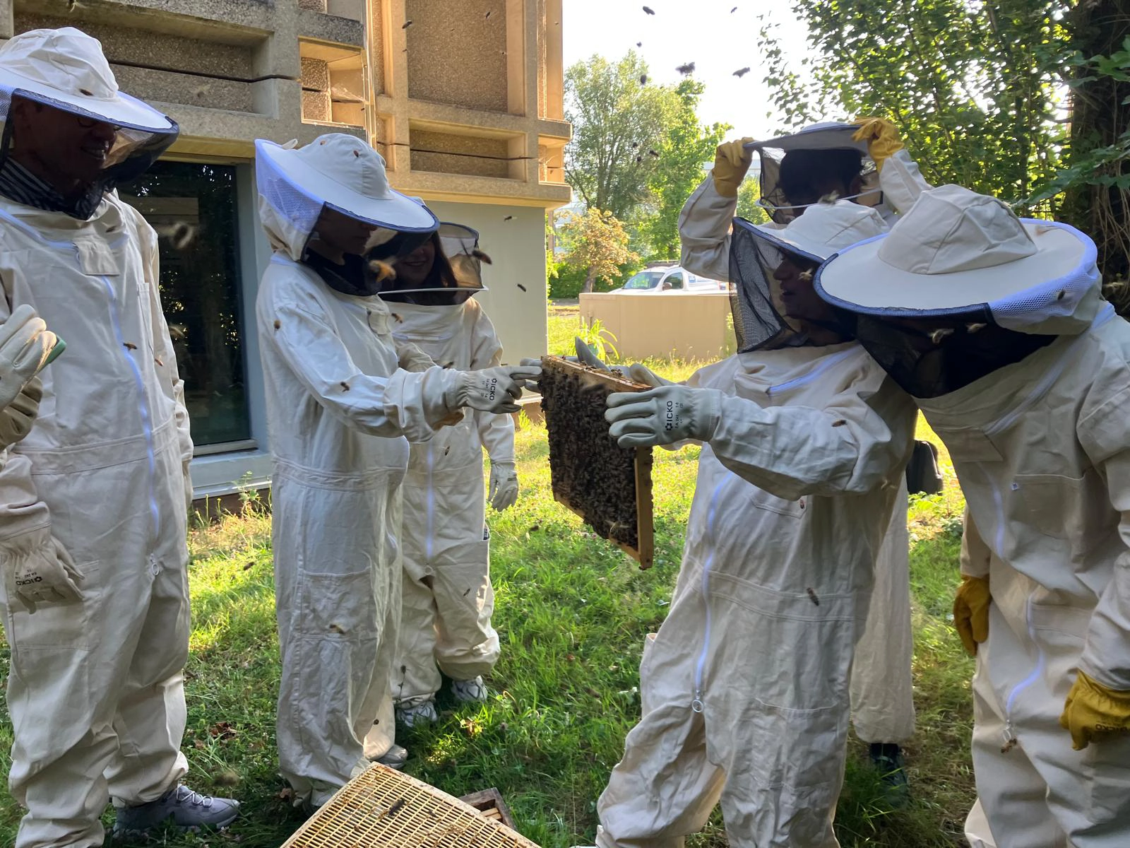 et-si-l-apiculture-urbaine-devenait-un-levier-concret-de-votre-strategie-esg2
