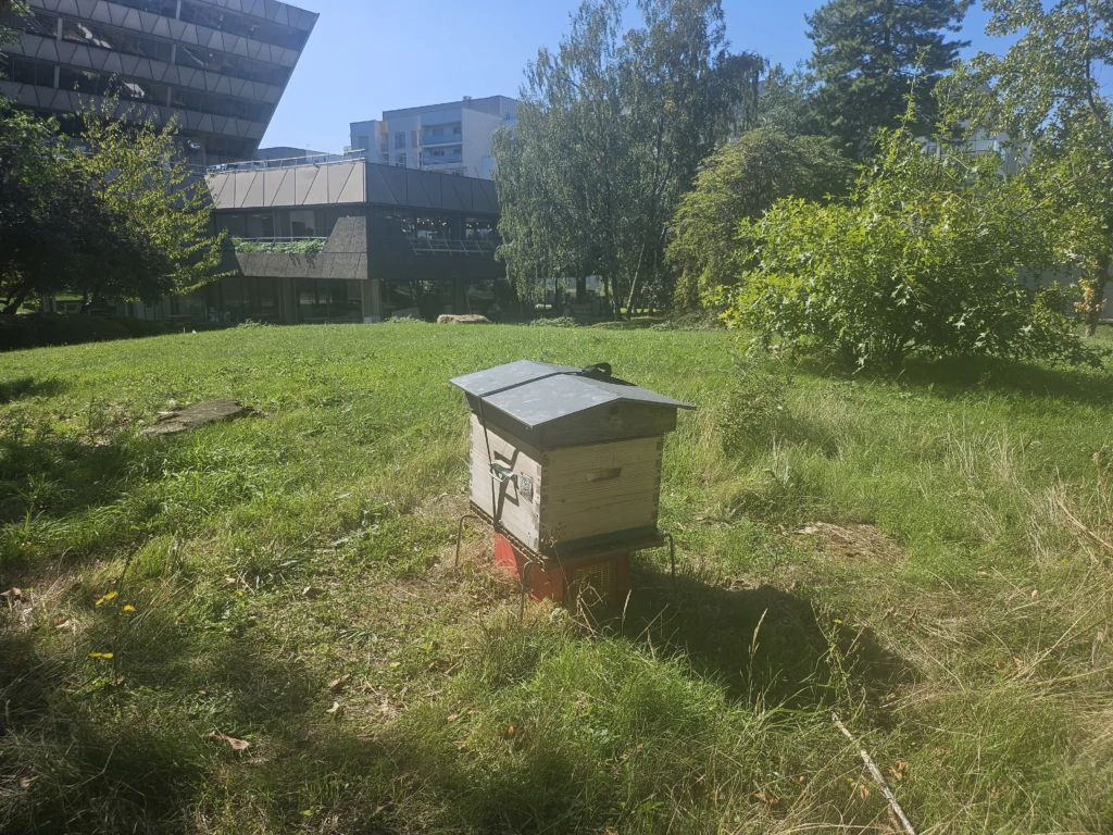 20250919_132355