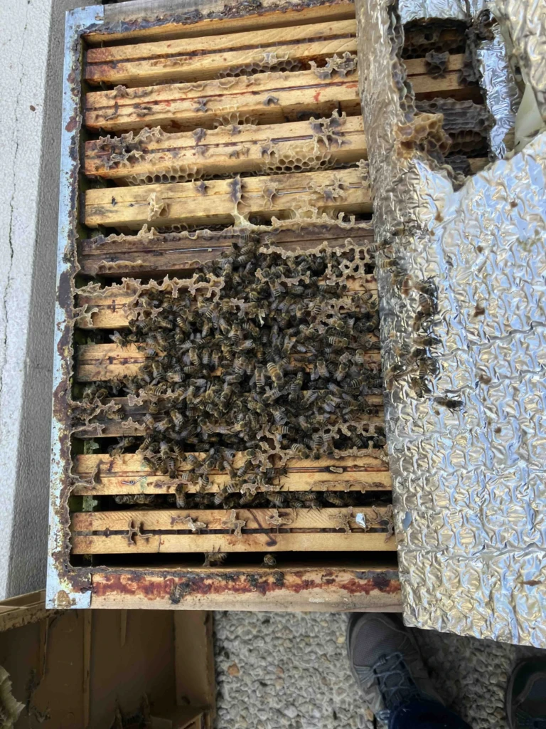 img_0002-2-depardieu