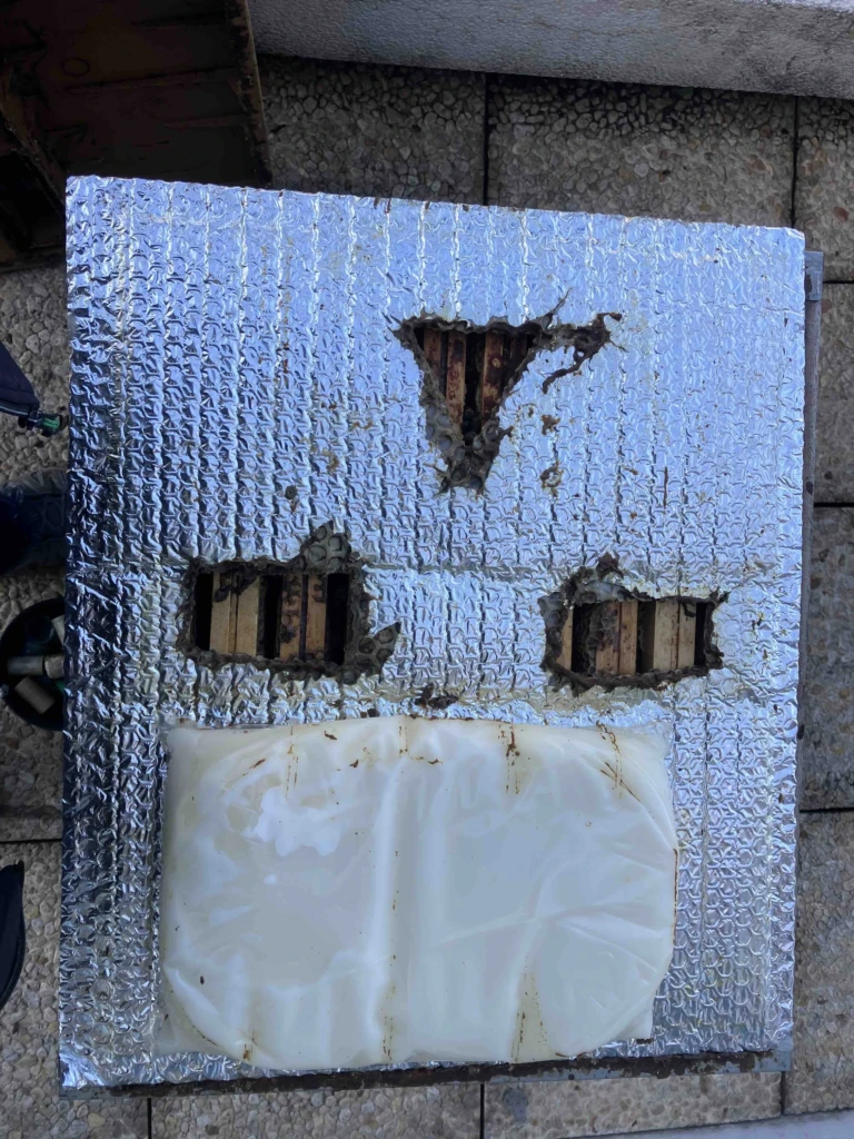 img_0003-2-depardieu