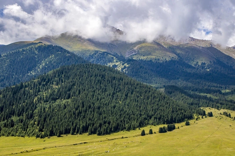Biodiversité et entreprise : un enjeu désormais stratégique