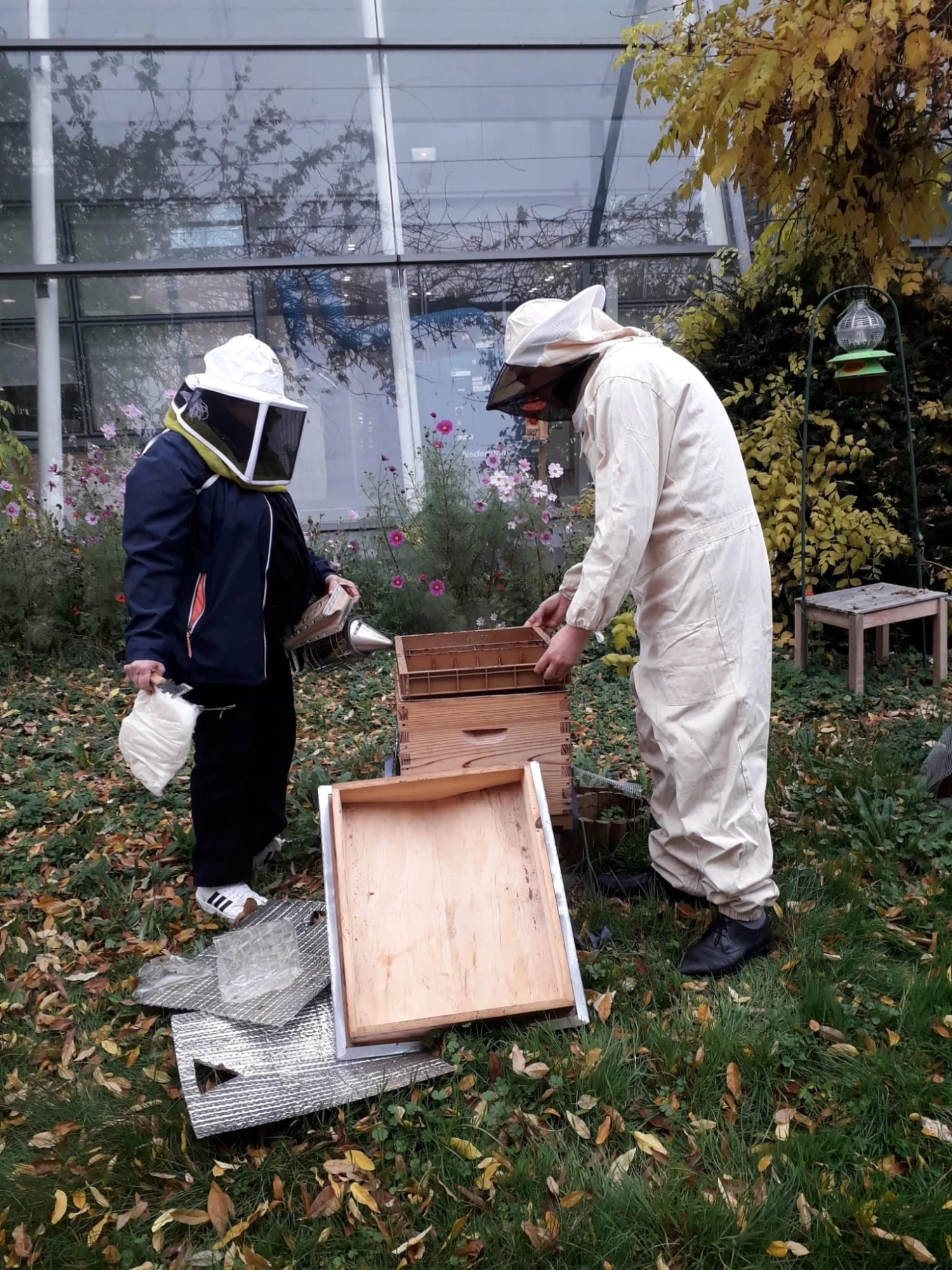 Animation autour d’une ruche en entreprise dans un jardin végétalisé