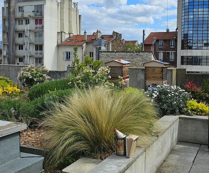 Exemples de villes engagées pour les pollinisateurs en France