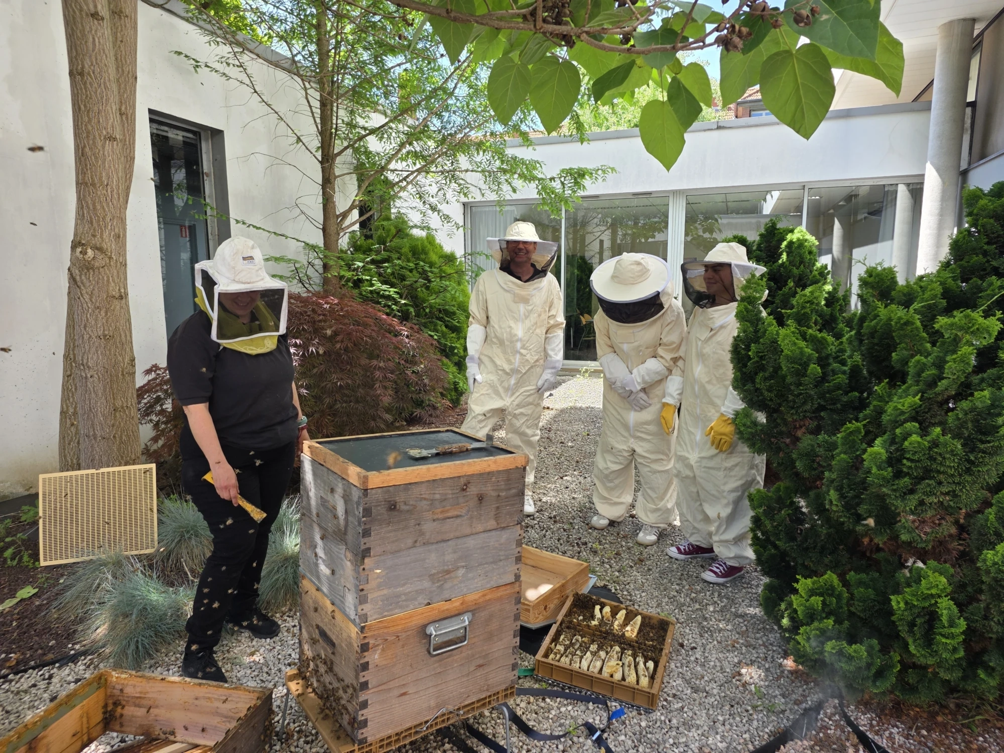 Équipe en tenue d’apiculture autour d’une ruche en entreprise