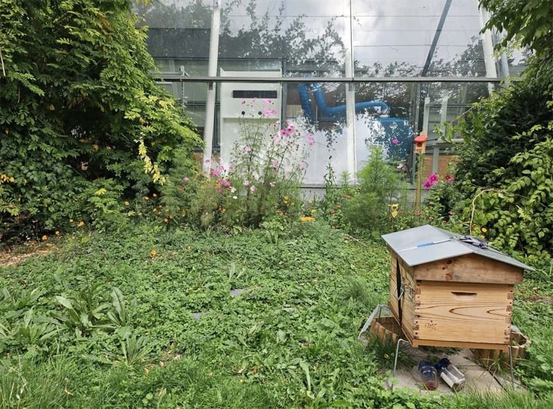 Biodiversité urbaine et pollinisateurs