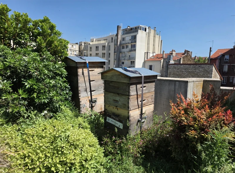 Apiculture urbaine et sensibilisation à la biodiversité